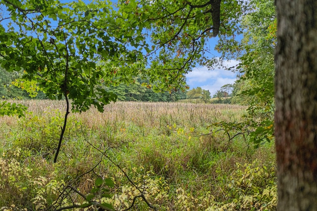 view of landscape