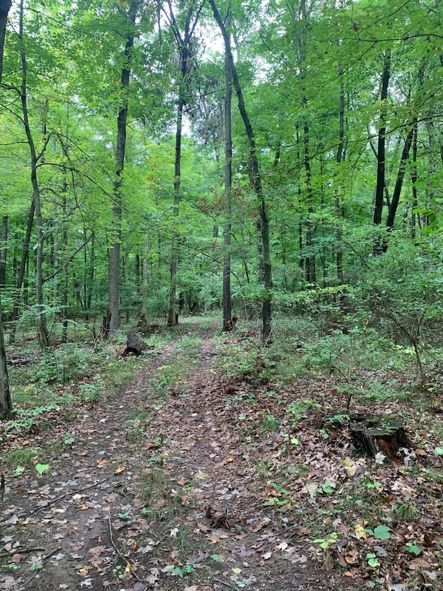 view of local wilderness