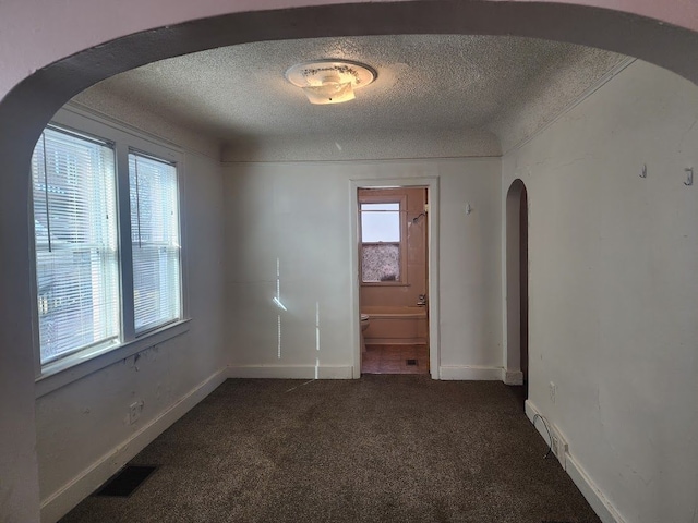 carpeted empty room with vaulted ceiling, plenty of natural light, and a textured ceiling