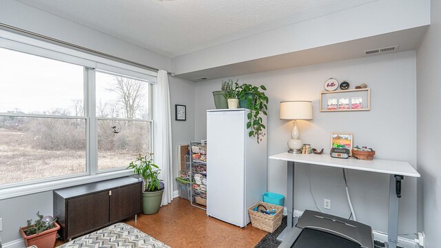 560 Little Lake Dr Unit 19, Ann Arbor, MI 48103 - office featuring a textured ceiling