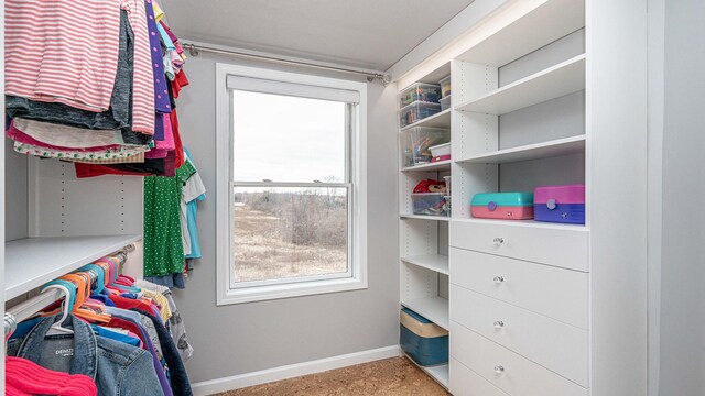 560 Little Lake Dr Unit 19, Ann Arbor, MI 48103 - view of spacious closet