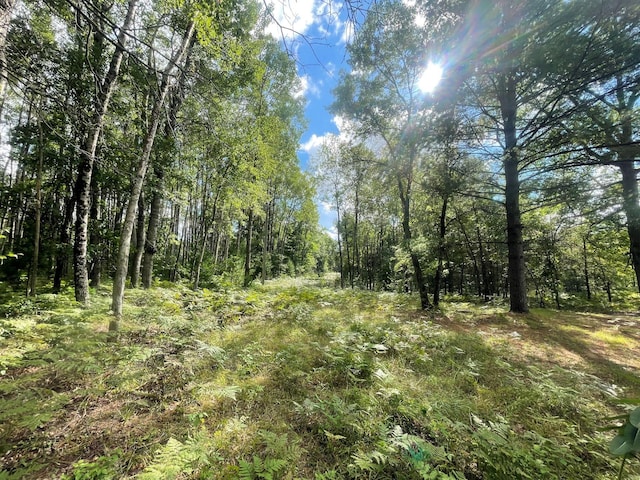 10544 N Lazy Ln, Bitely, MI 49309 - view of woods