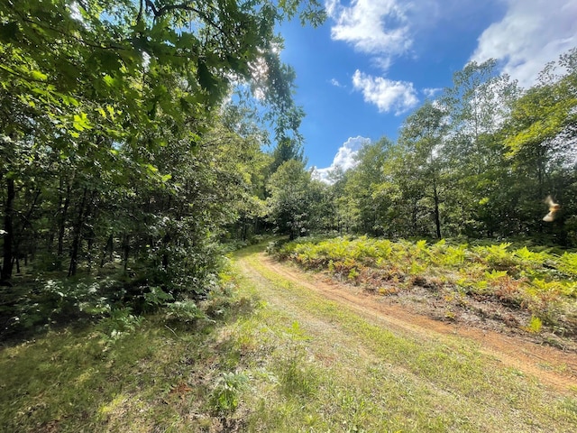 10544 N Lazy Ln, Bitely, MI 49309 - view of road featuring a view of trees