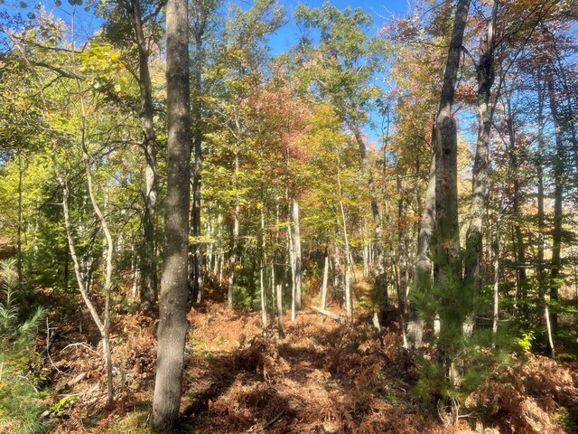 10544 N Lazy Ln, Bitely, MI 49309 - view of wooded area
