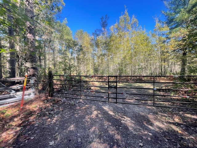 10544 N Lazy Ln, Bitely, MI 49309 - view of gate