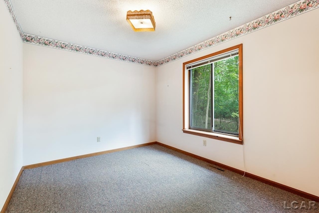 spare room with carpet flooring and a textured ceiling