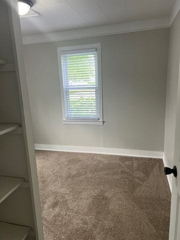 unfurnished room with carpet floors and crown molding