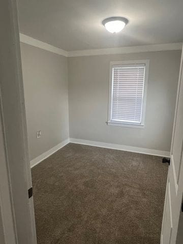 carpeted spare room with crown molding