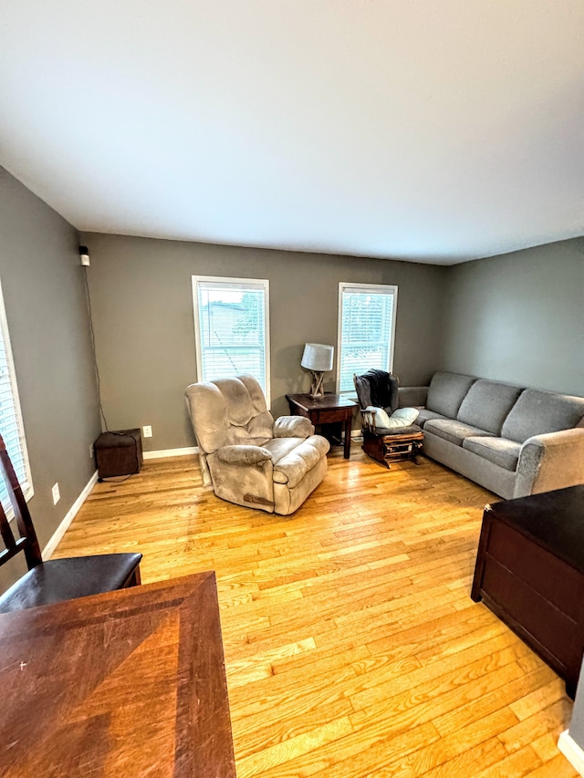 living room featuring light hardwood / wood-style floors