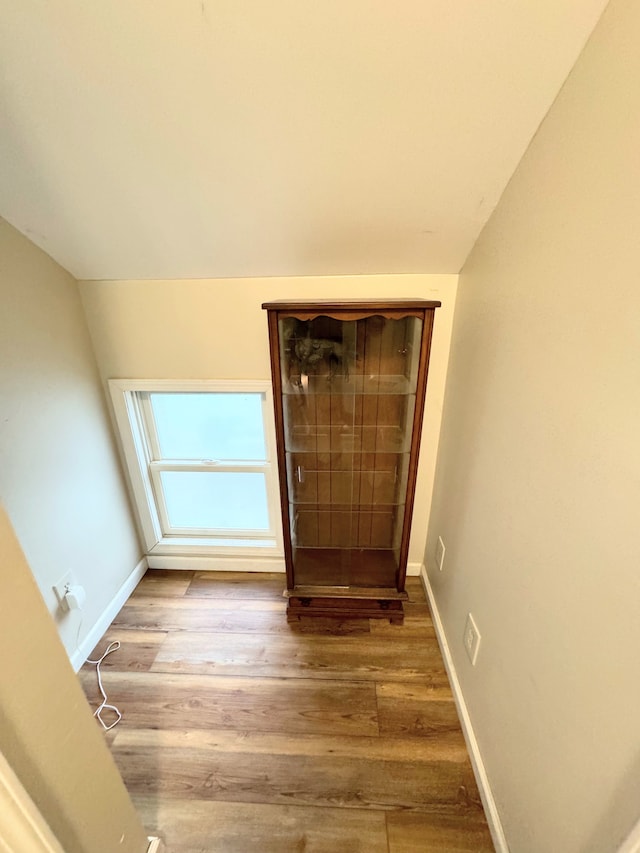 foyer featuring wood-type flooring and lofted ceiling