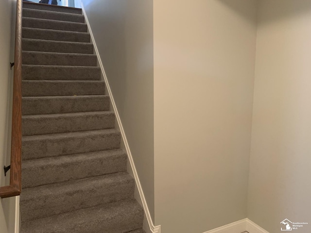 stairs with carpet flooring