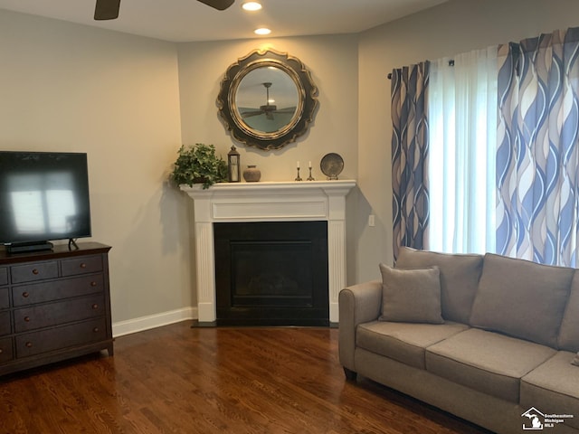 living room with dark wood-type flooring