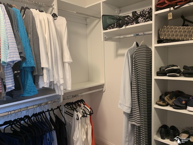 view of walk in closet