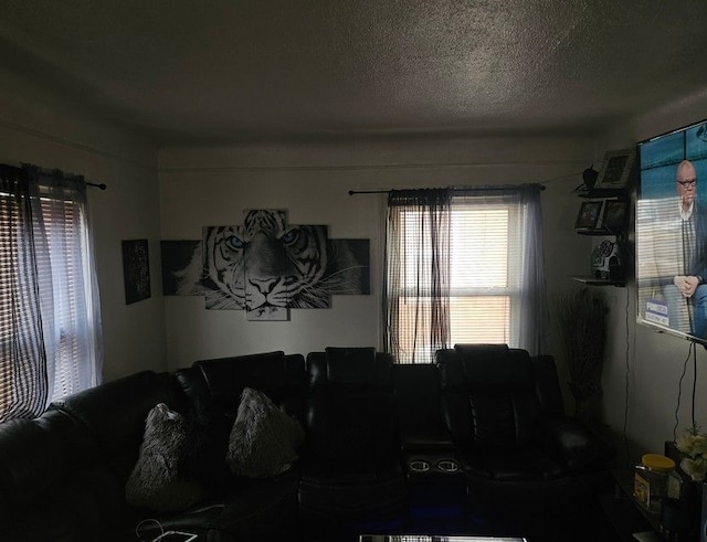 living room featuring a textured ceiling