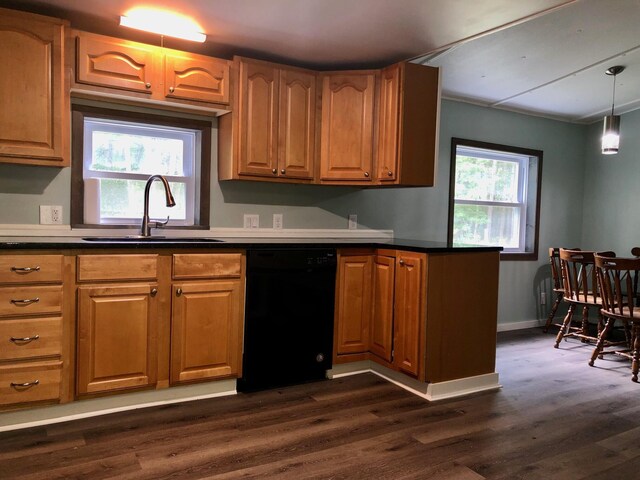 6566 E Stolberg Rd, Fountain, MI 49410 - kitchen featuring dishwasher, a sink, dark wood-style floors, and dark countertops