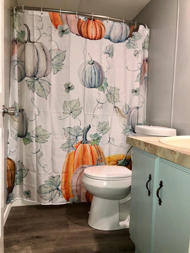6566 E Stolberg Rd, Fountain, MI 49410 - full bath with wood finished floors, vanity, toilet, and a shower with shower curtain