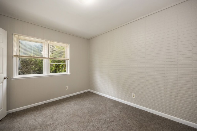 spare room featuring carpet