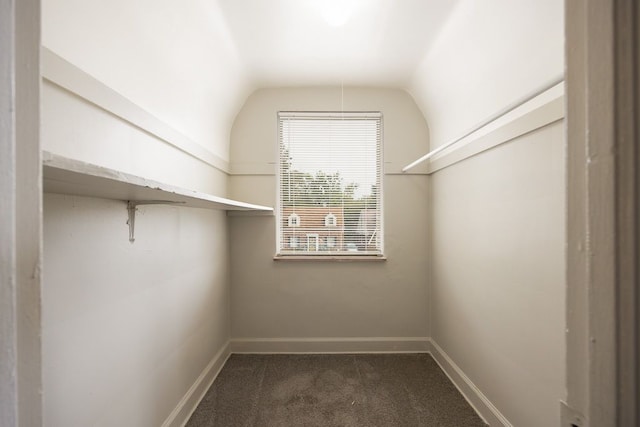 walk in closet featuring vaulted ceiling and dark colored carpet