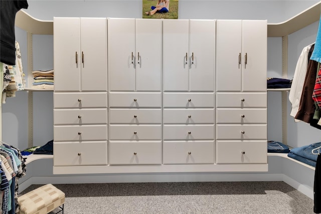 spacious closet with light colored carpet