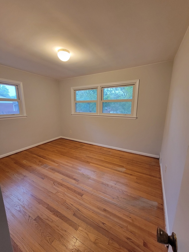 spare room featuring a wealth of natural light and light wood-type flooring