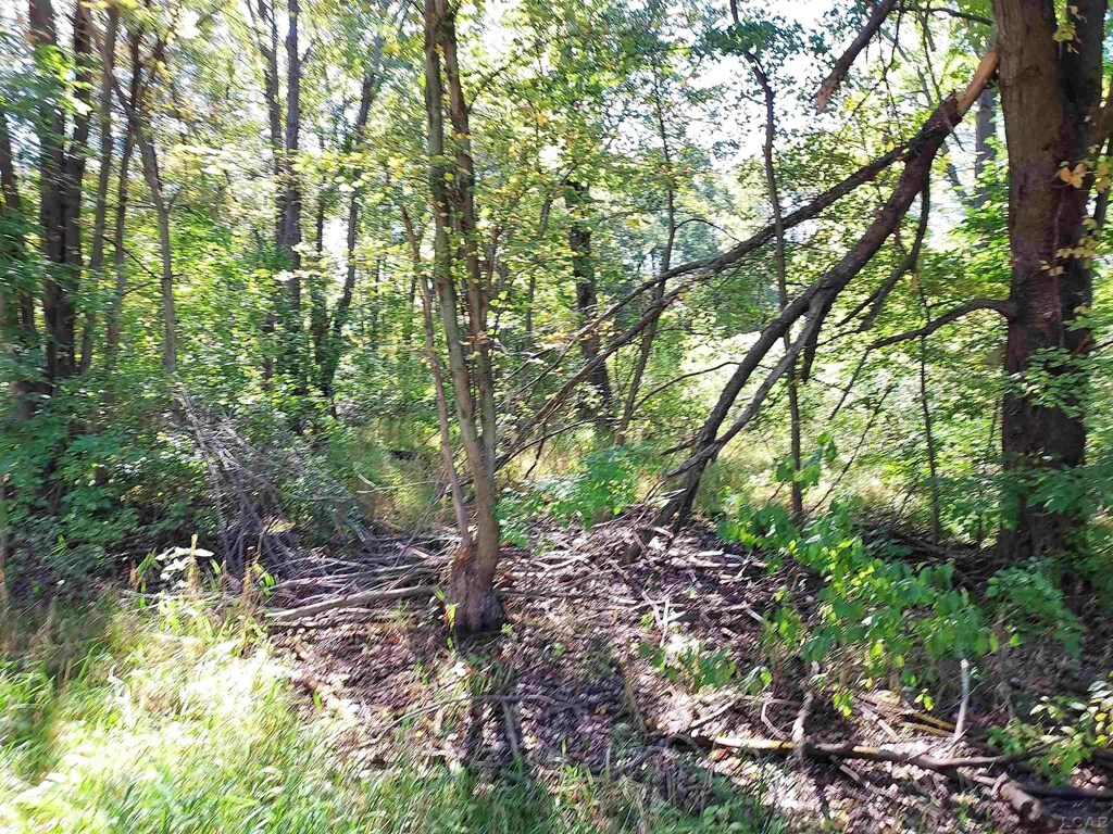 203 Kirkley Dr, Brooklyn, MI 49230