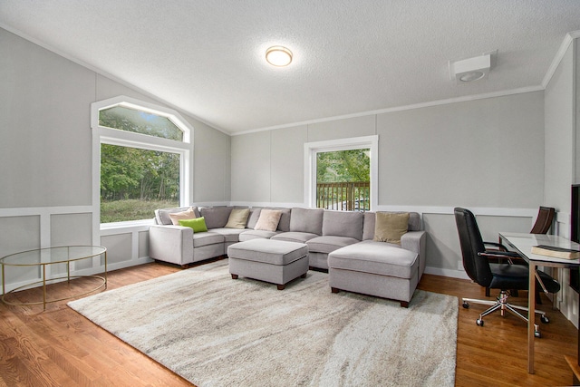 living room featuring a healthy amount of sunlight, a textured ceiling, and hardwood / wood-style flooring