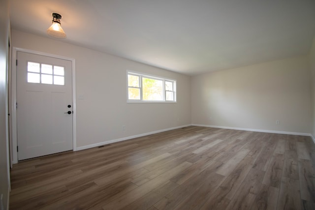 foyer entrance with plenty of natural light and hardwood / wood-style floors