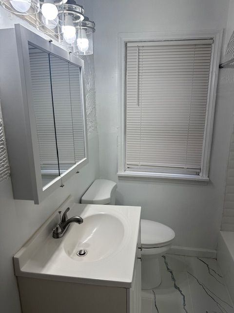 bathroom with vanity, a bath, and toilet