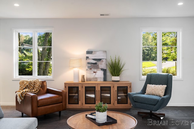 living area with plenty of natural light