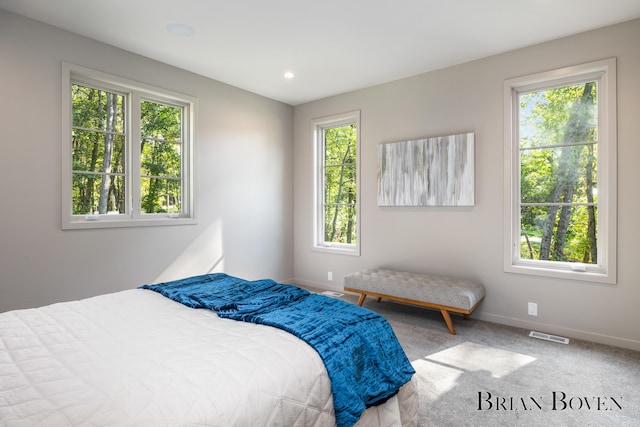 bedroom featuring carpet floors and multiple windows