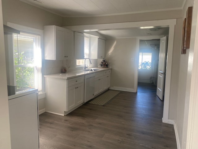 kitchen with dishwasher, white cabinetry, a healthy amount of sunlight, and sink