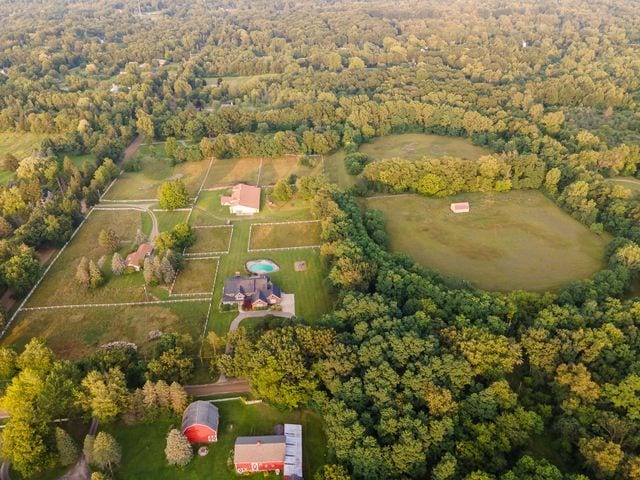 bird's eye view