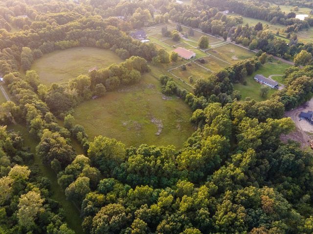 drone / aerial view