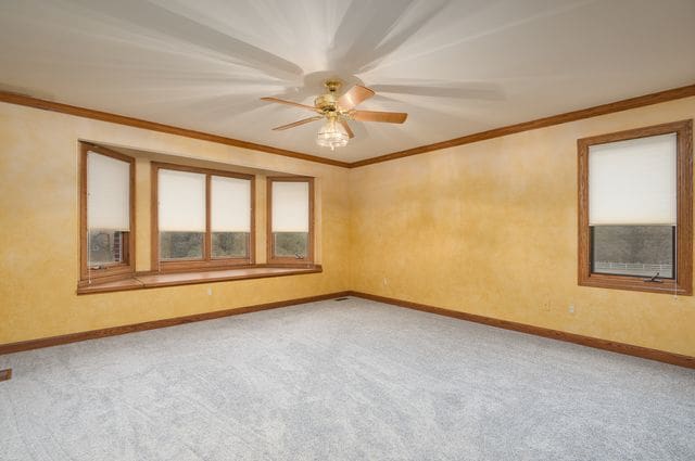 carpeted spare room featuring ceiling fan and ornamental molding