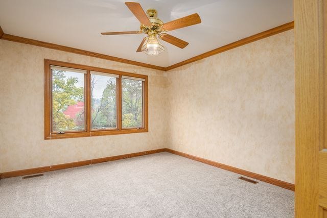 spare room featuring ceiling fan, ornamental molding, and carpet floors