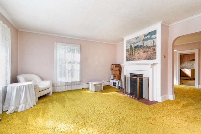 unfurnished room with carpet flooring, a textured ceiling, and ornamental molding