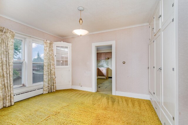 207 N Pine River St, Ithaca, MI 48847 - unfurnished room with light colored carpet, ornamental molding, a baseboard radiator, and baseboards