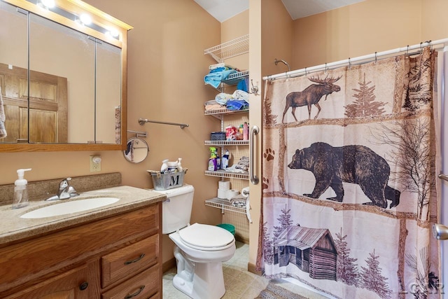 bathroom with vanity, toilet, and walk in shower