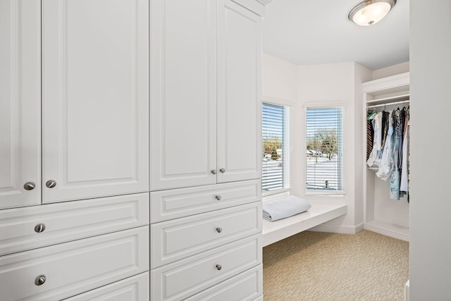 spacious closet with carpet