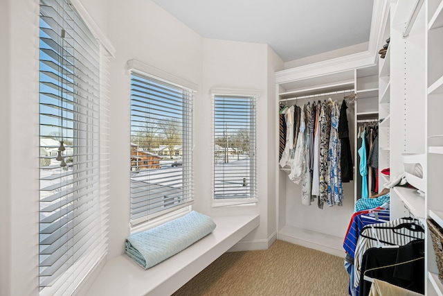 spacious closet with carpet