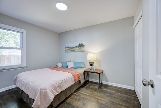 bedroom with a closet and dark wood-type flooring