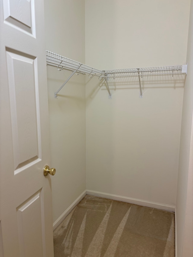 spacious closet with light colored carpet