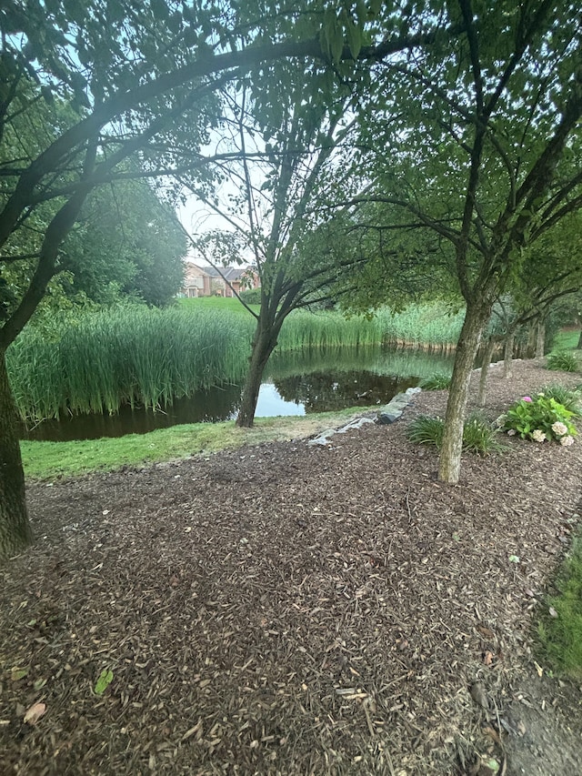 view of yard with a water view