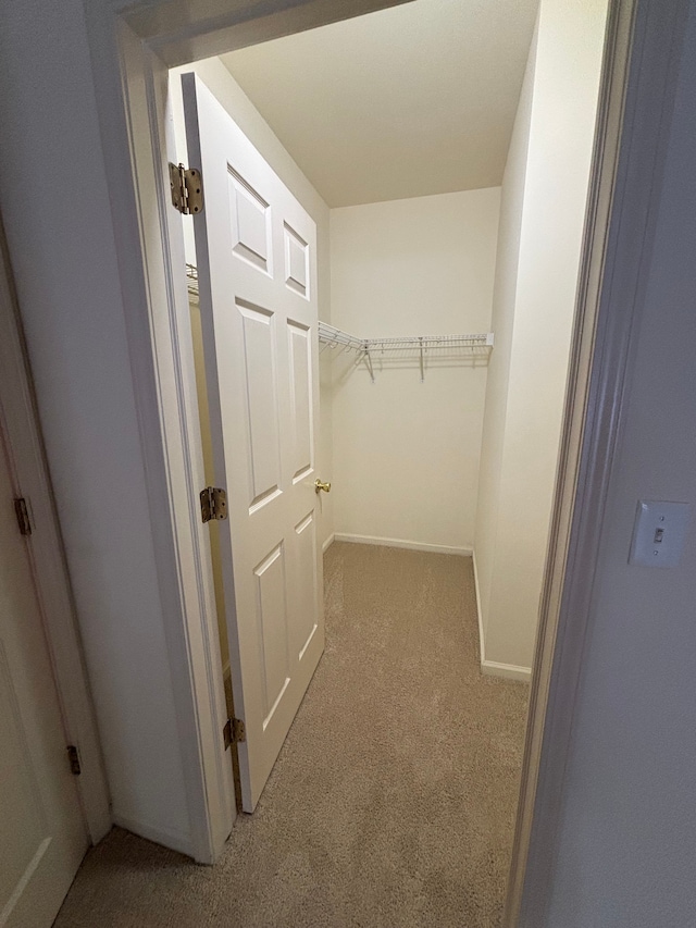 spacious closet with light carpet