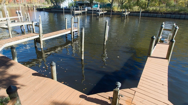 dock area with a water view