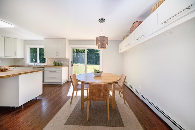 dining room with dark wood finished floors, a healthy amount of sunlight, and a baseboard radiator