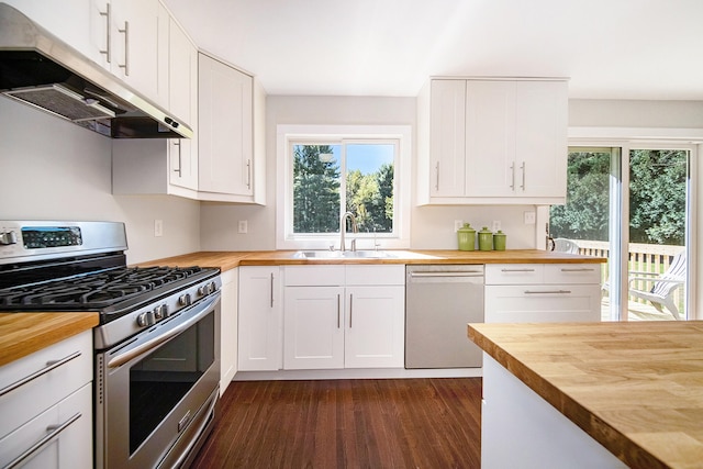 kitchen with under cabinet range hood, appliances with stainless steel finishes, wooden counters, and a sink