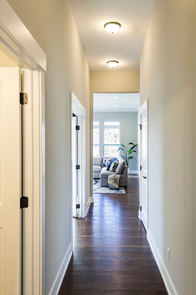 hallway featuring dark wood-type flooring