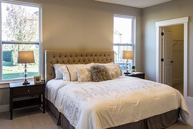 carpeted bedroom featuring a spacious closet and a closet