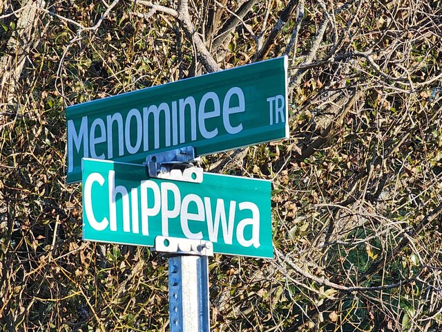 134 Menominee Trl, Buckley, MI 49620 - photo 59